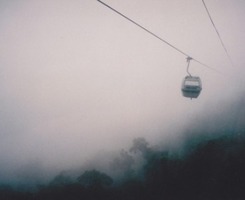 wj772