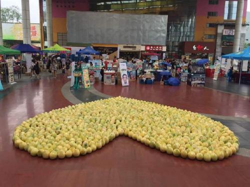 男生摆999个柚子表白