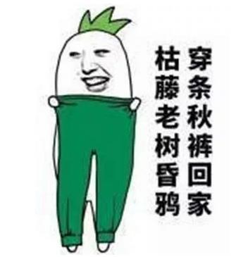 udast